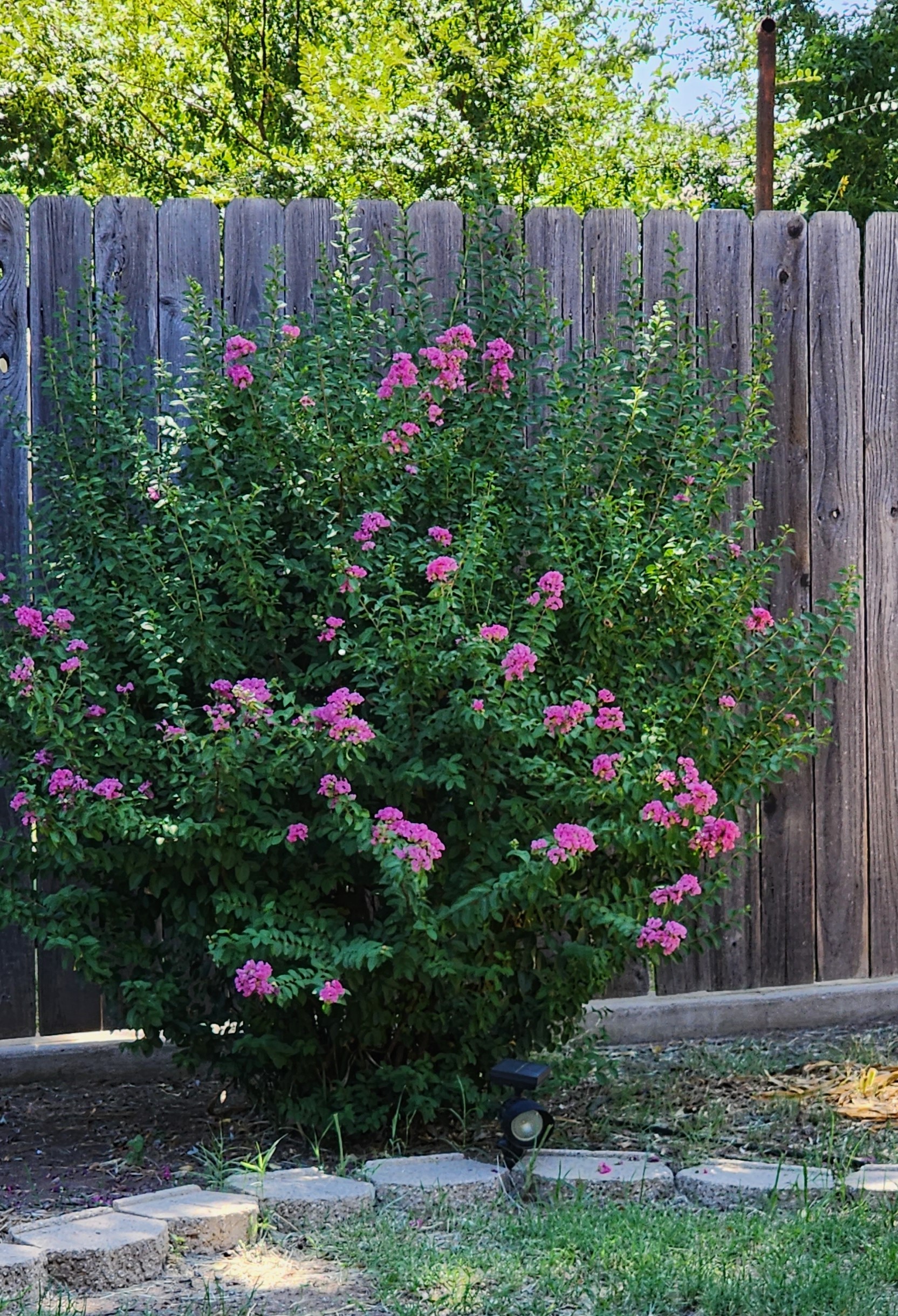 Yard Work When Necessary Yard Work When Necessary